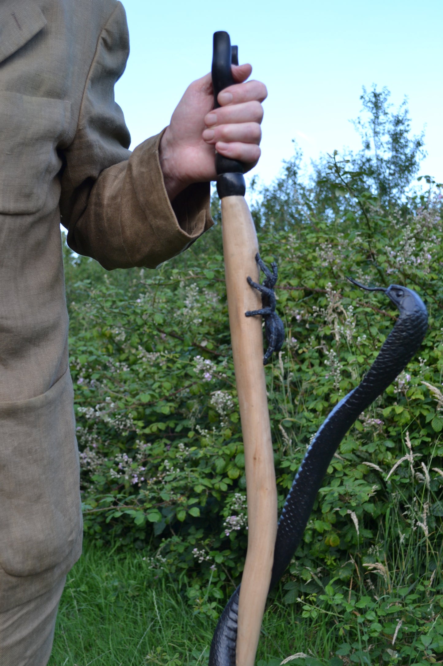 Black Cobra, Black Tarantula and Mouse Walking stick