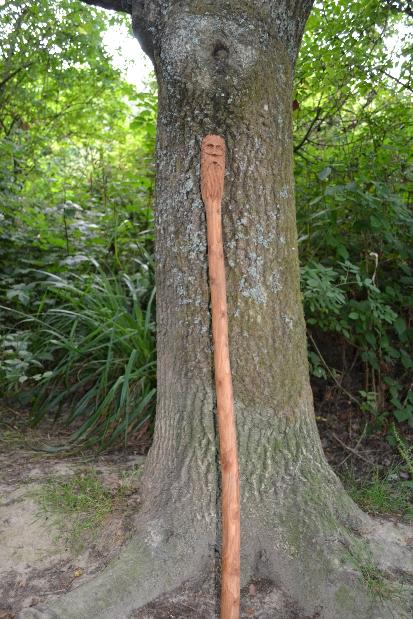 Jack in the Green Walking stick