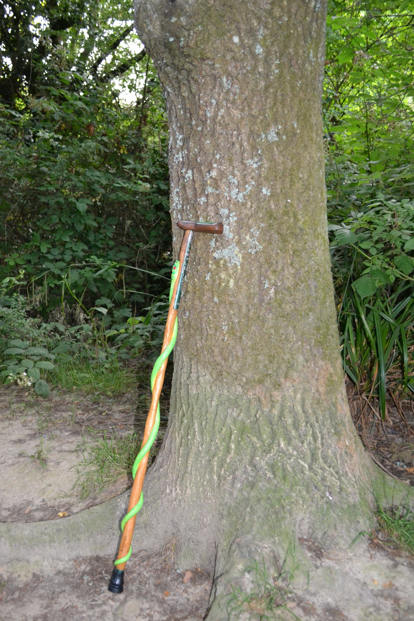 Green Snake Medium Walking stick