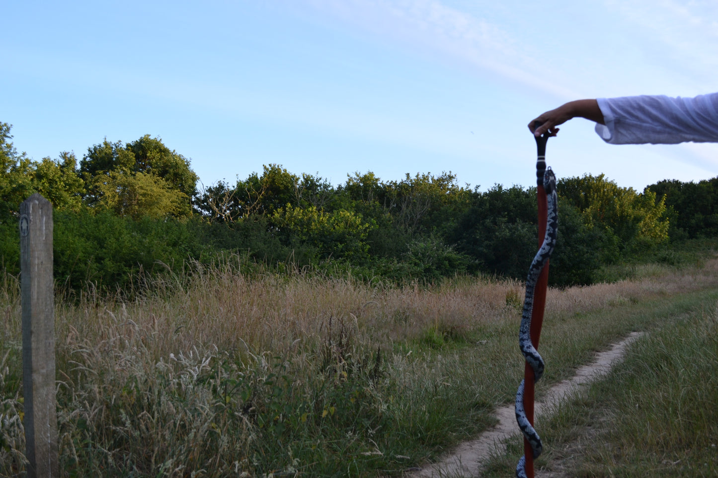 Grey Spiral Adder