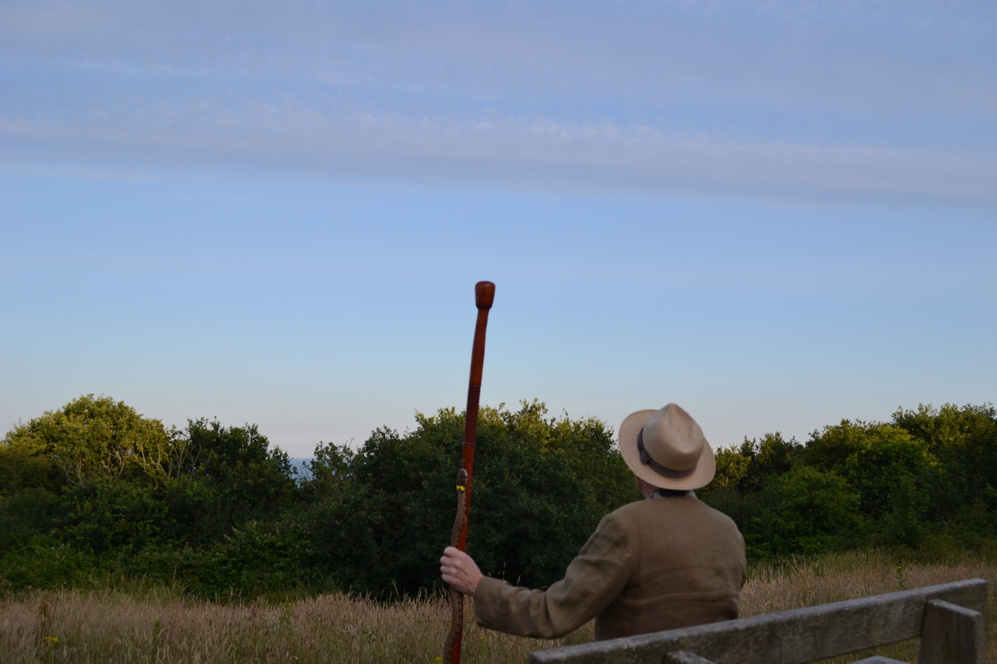 Tall Oak Walking Stick with Snake